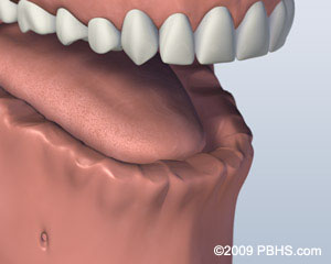 A mouth that has all teeth missing on its lower jaw